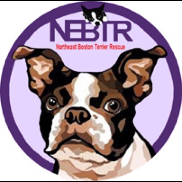 Hooty & Capt Nemo; rescued friends extraordinaire! - Picture 13 of 14